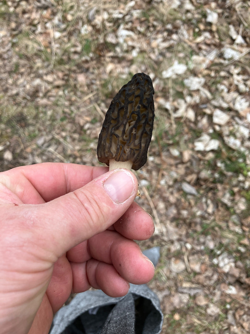 Wskazał więcej — Bild 2