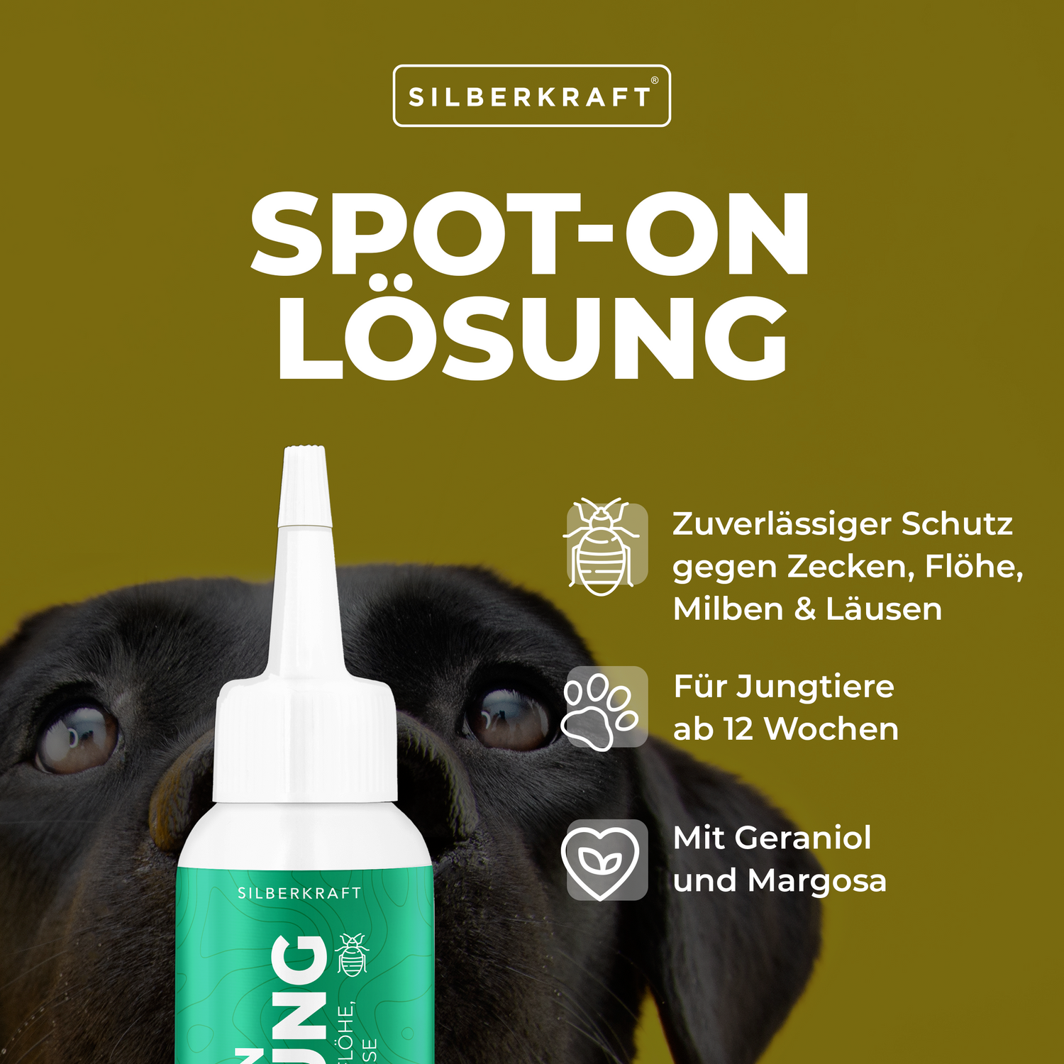 Weitere Informationen