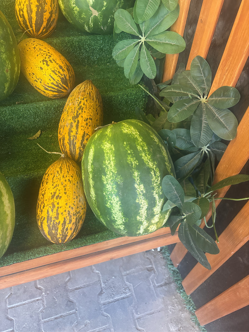 Melony — Bild 1