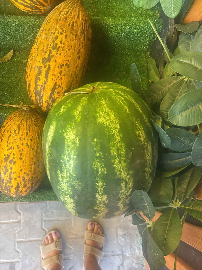 Melony — Bild 2