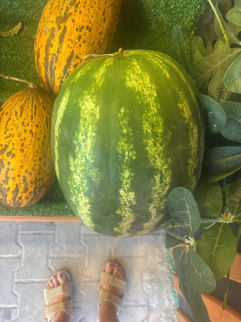 Melony — Bild 3