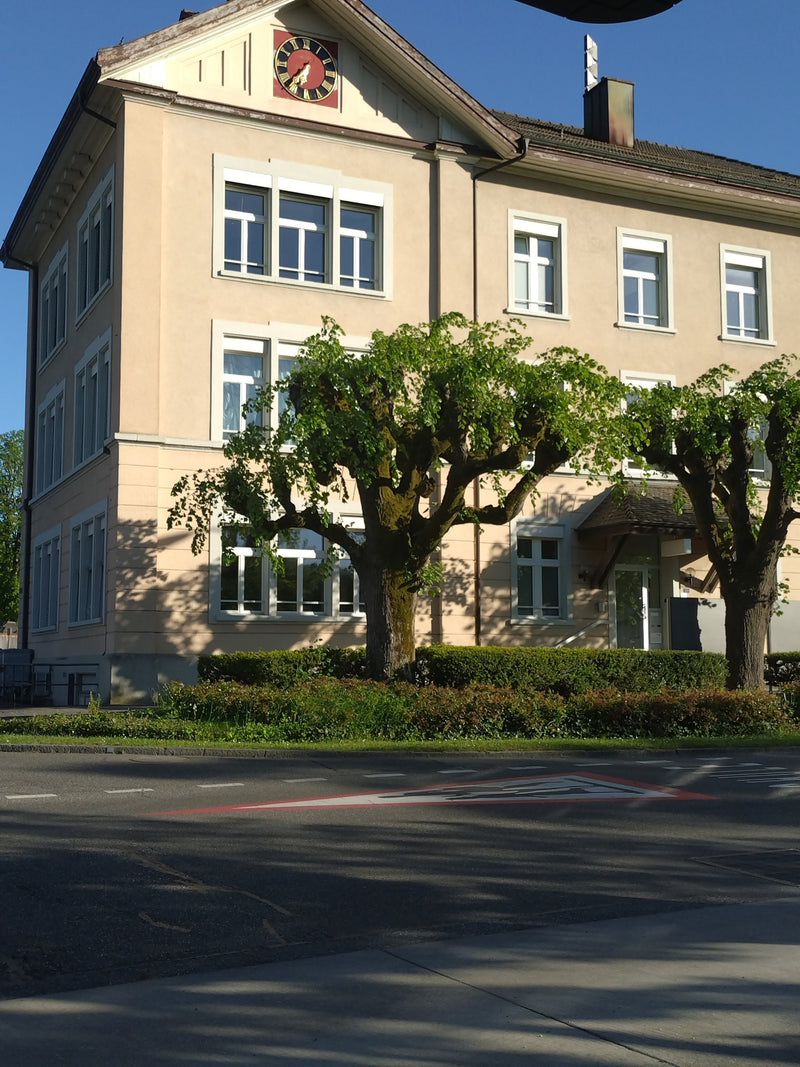 Zimowa lipa — Bild 1