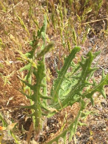 Ziele Benedykta — Bild 4