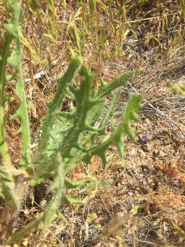 Ziele Benedykta — Bild 3