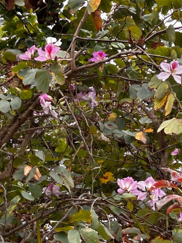 Kolorowa konstrukcja — Bild 3