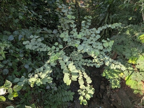 Kolorowa konstrukcja — Bild 5
