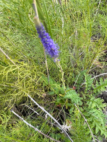 Nagroda Honorowa — Bild 3