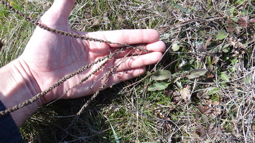 Nagroda Honorowa — Bild 4