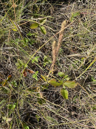 Nagroda Honorowa — Bild 4