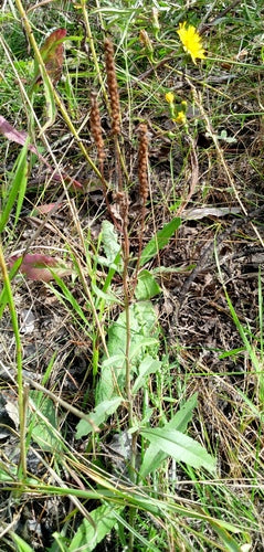 Nagroda Honorowa — Bild 5