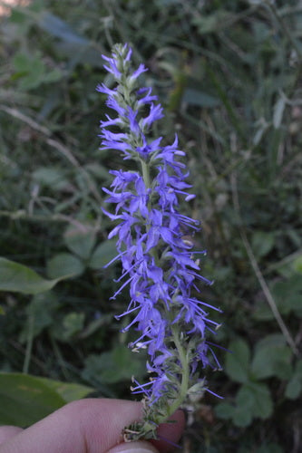 Nagroda Honorowa — Bild 3