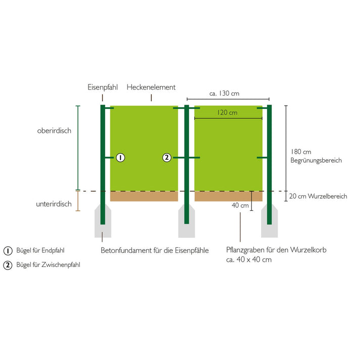 Schemat montażu: elementy żywopłotu o szerokości 120 cm między słupkami w odstępie ok. 1,30 m, część korzeniowa 20 cm w rowie 40 × 40 cm
