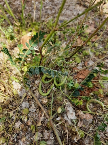 Latać — Bild 4
