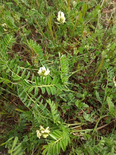 Latać — Bild 5