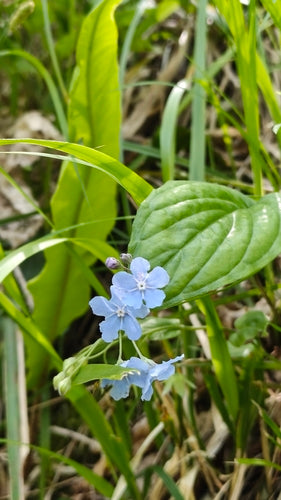 Memoriał — Bild 1