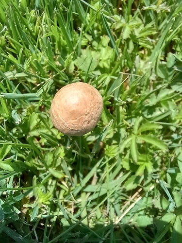 Nawóz do siana — Bild 4