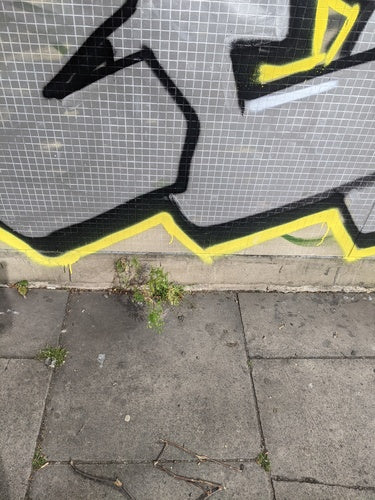 Soczewki — Bild 3