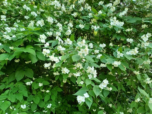Tuleja rurowa — Bild 2