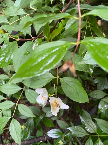 Tuleja rurowa — Bild 3