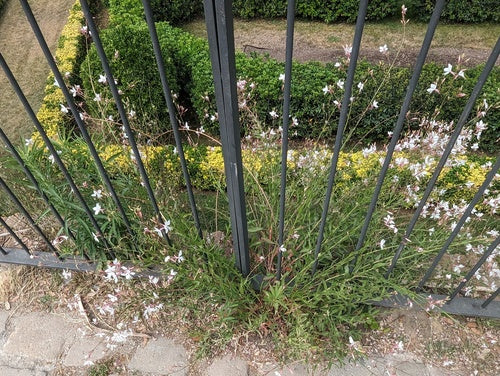 Wspaniała świeca — Bild 5