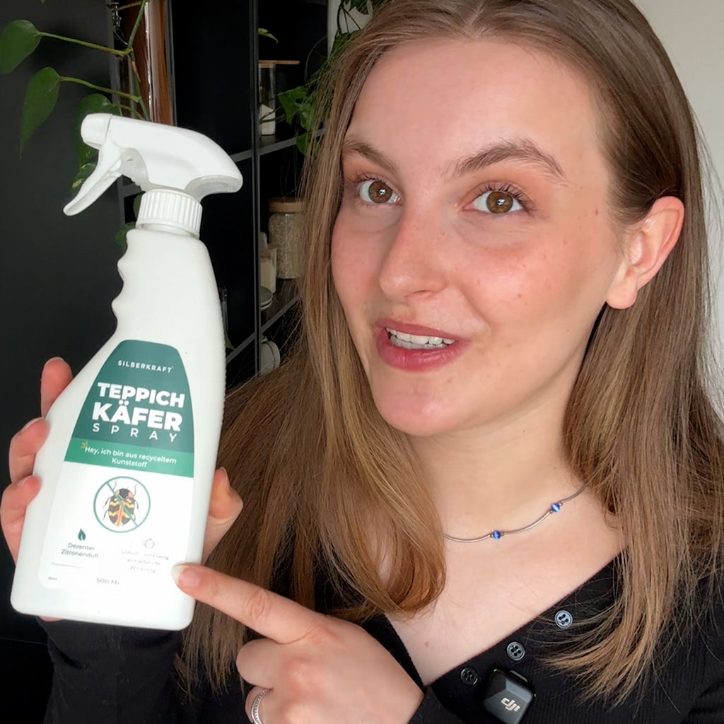 Silberkraft Teppichkäferspray – Spray wird auf Teppich und Textilien gesprüht, um Teppichkäfer und Larven effektiv zu bekämpfen