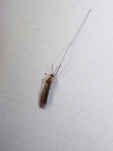 dźwig leci — Bild 5