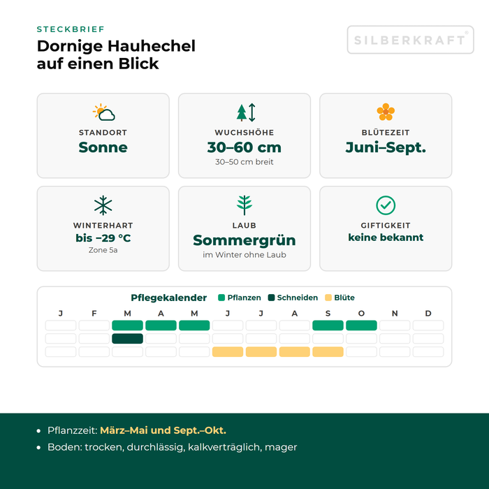Steckbrief Dornige Hauhechel (Ononis spinosa) mit Standort, Wuchshöhe, Winterhärte, Giftigkeit und Pflegekalender