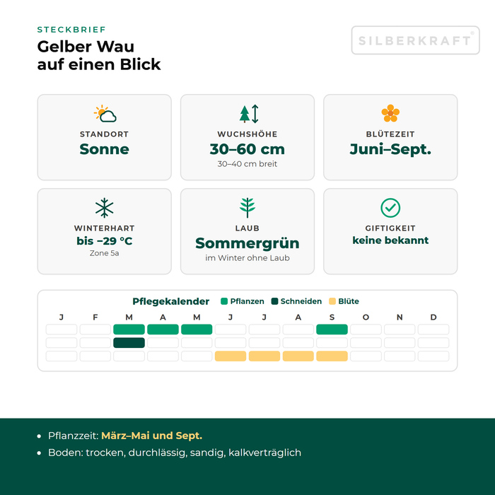 Steckbrief Gelber Wau (Reseda lutea) mit Standort, Wuchshöhe, Winterhärte, Giftigkeit und Pflegekalender