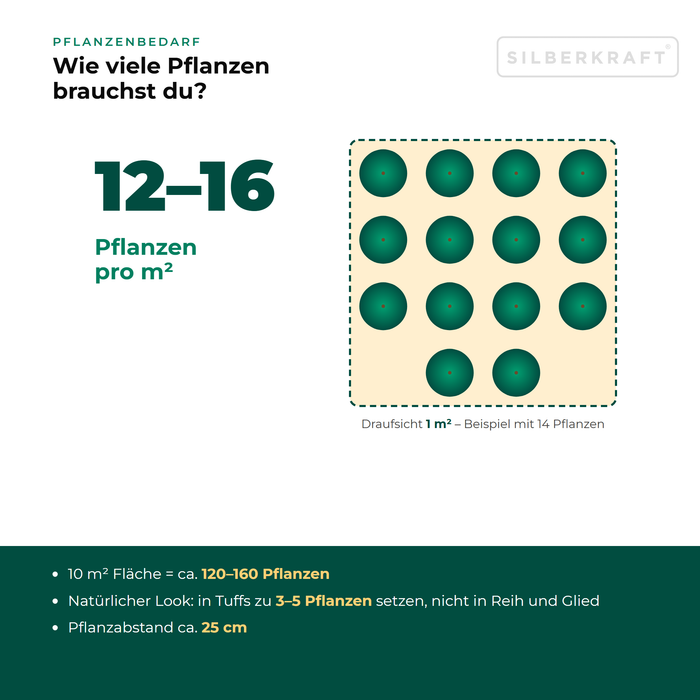 Pflanzenbedarf Mittleres Zittergras (Briza media): 12–16 Pflanzen pro m², 10 m² Fläche = ca. 120–160 Pflanzen