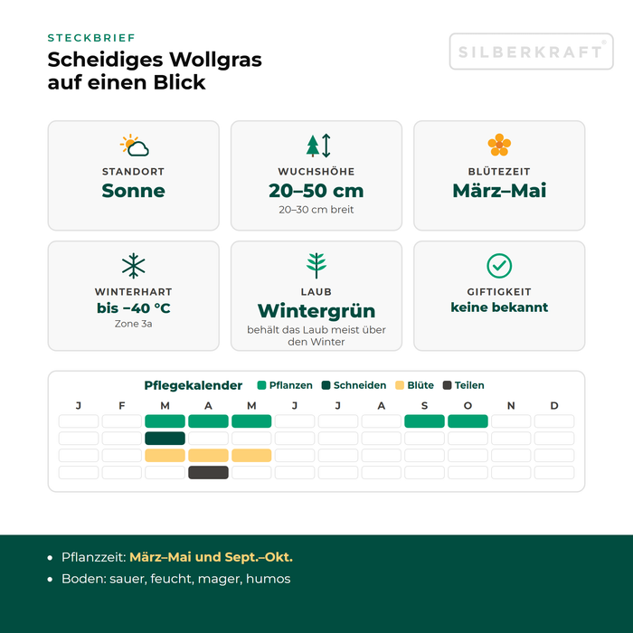 Steckbrief Scheidiges Wollgras (Eriophorum vaginatum) mit Standort, Wuchshöhe, Winterhärte, Giftigkeit und Pflegekalender