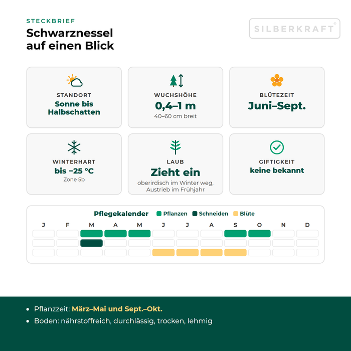 Steckbrief Schwarznessel (Ballota nigra) mit Standort, Wuchshöhe, Winterhärte, Giftigkeit und Pflegekalender