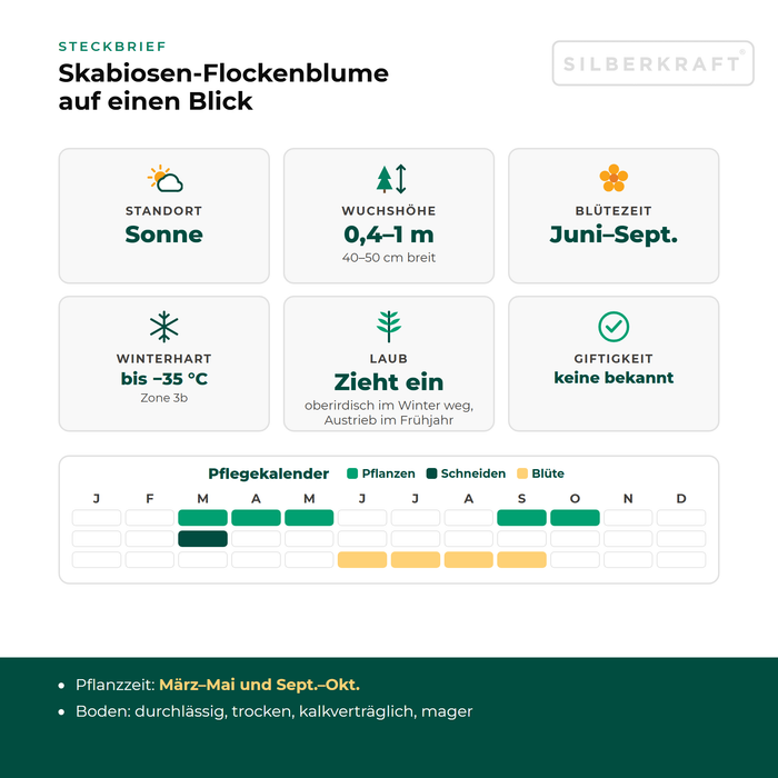 Steckbrief Skabiosen-Flockenblume (Centaurea scabiosa) mit Standort, Wuchshöhe, Winterhärte, Giftigkeit und Pflegekalender