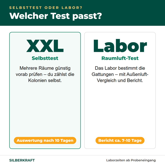 Test domowy XXL czy test laboratoryjny powietrza – który wybrać
