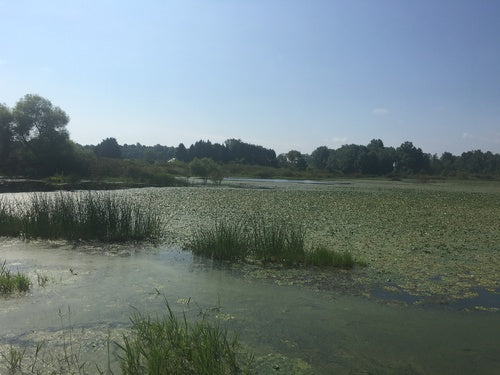 nakrętka wodna — Bild 2