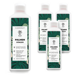 Nawozy do palm - Mineralny nawóz płynny NPK z azotem - Nawozy do palm - Nawóz do palm Yucca - Nawozy palmowe - Silberkraft