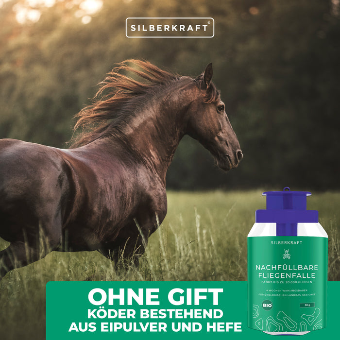 Nachfüllbare Fliegenfalle - Silberkraft