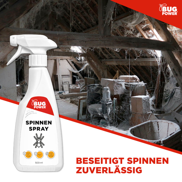 BugPower Spinnen Spray - effektiv gegen Spinnen - Silberkraft