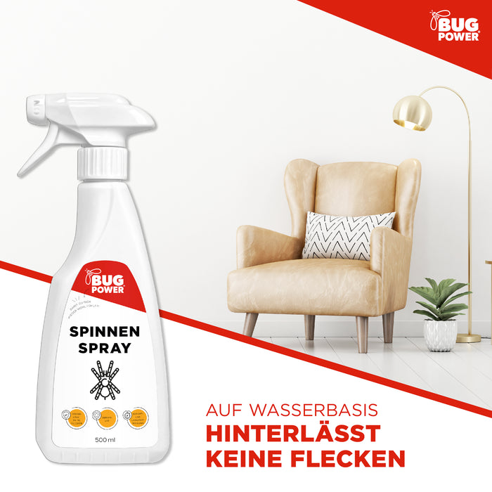 BugPower Spinnen Spray - effektiv gegen Spinnen - Silberkraft