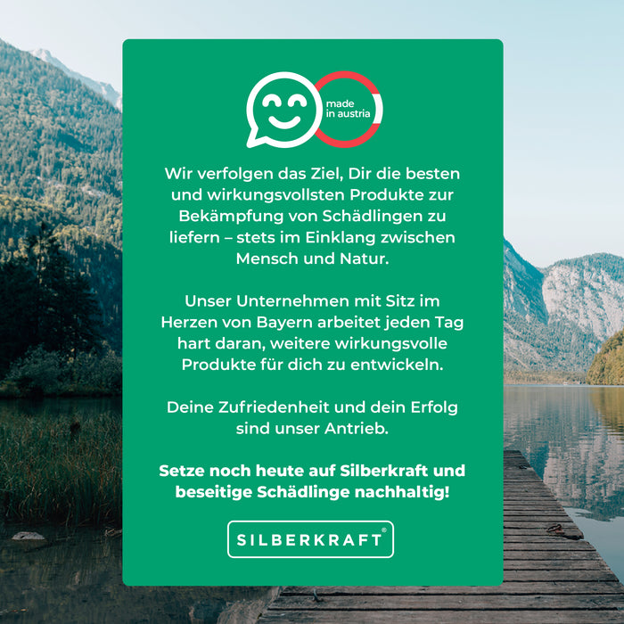 Wespenfalle Set - Silberkraft