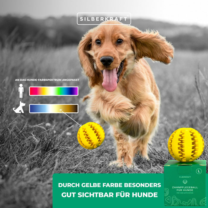 Hundeball mit Noppen zur Zahnpflege - Silberkraft