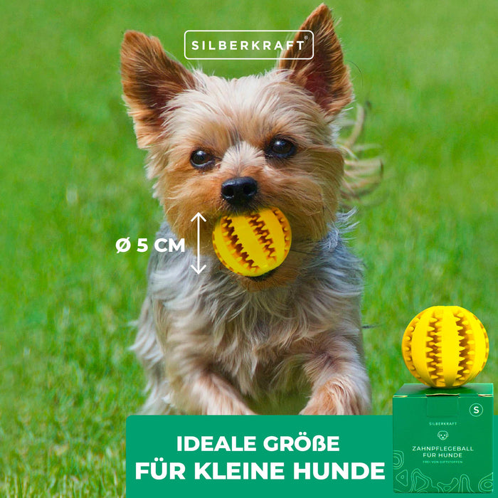 Hundeball mit Noppen zur Zahnpflege - Silberkraft