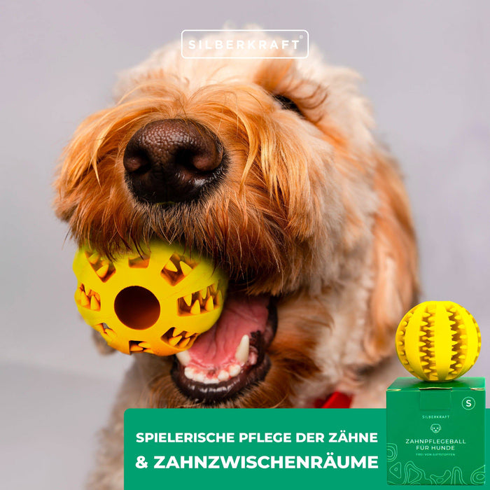 Hundeball mit Noppen zur Zahnpflege - Silberkraft